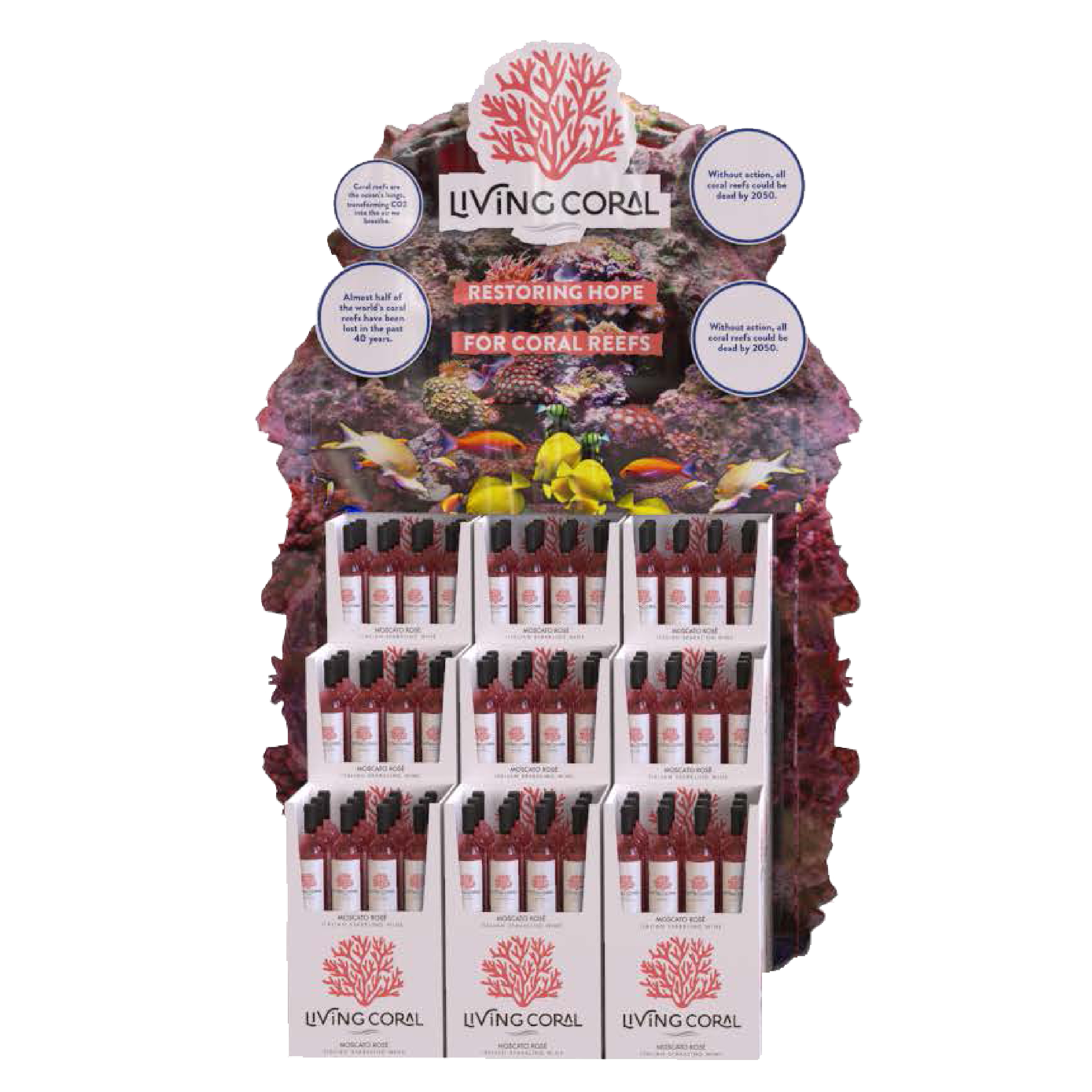 Living Coral Floor Display